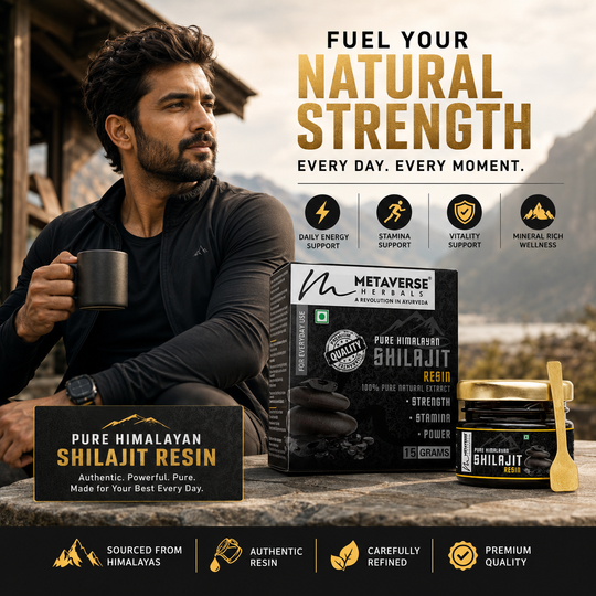 Metaverse Himalayan Shilajit Resin | Pure & Authentic Shilajit | Natural Energy & Vitality Support