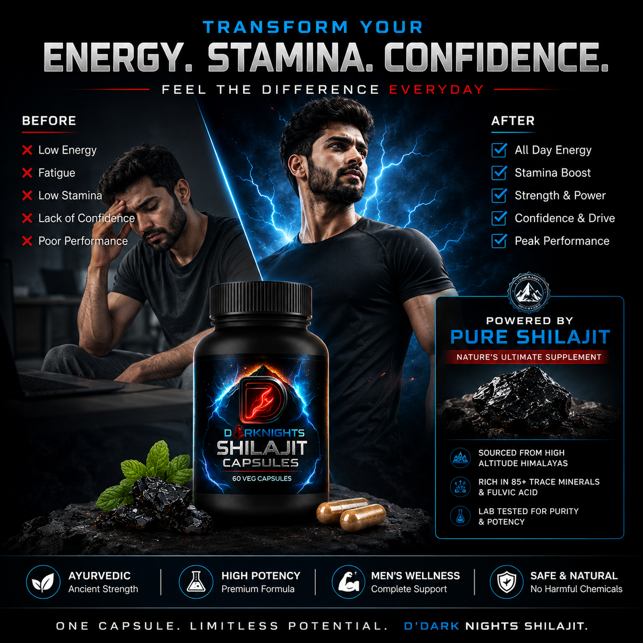 Pure Himalayan Shilajit Capsules | Natural Energy & Stamina Support | Ayurvedic Herbal Supplement