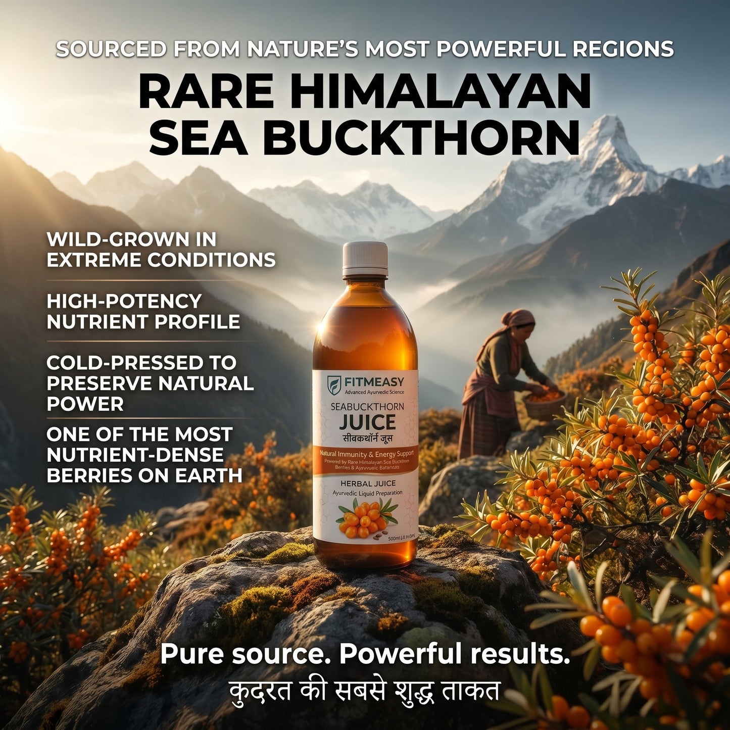 Fitmeasy Seabuckthorn Juice – Ayurvedic Daily Wellness Drink for Immunity, Energy & Skin Glow | Antioxidant-Rich Natural Health Support | Cold-Pressed Himalayan Sourced
