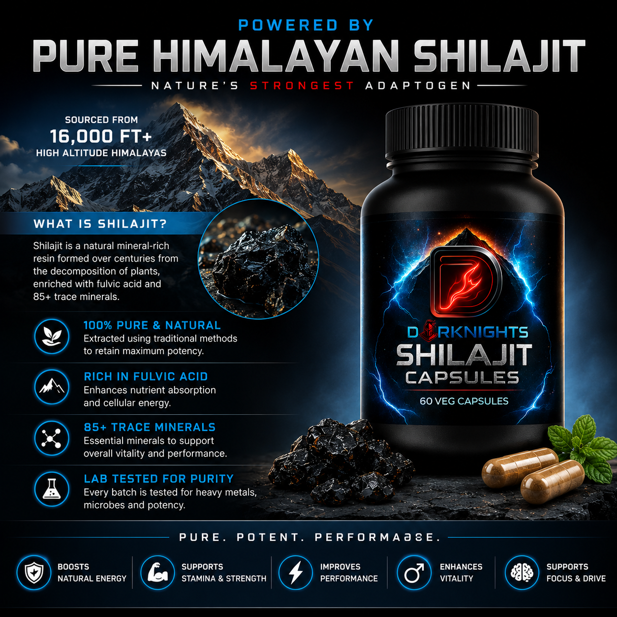 Pure Himalayan Shilajit Capsules | Natural Energy & Stamina Support | Ayurvedic Herbal Supplement