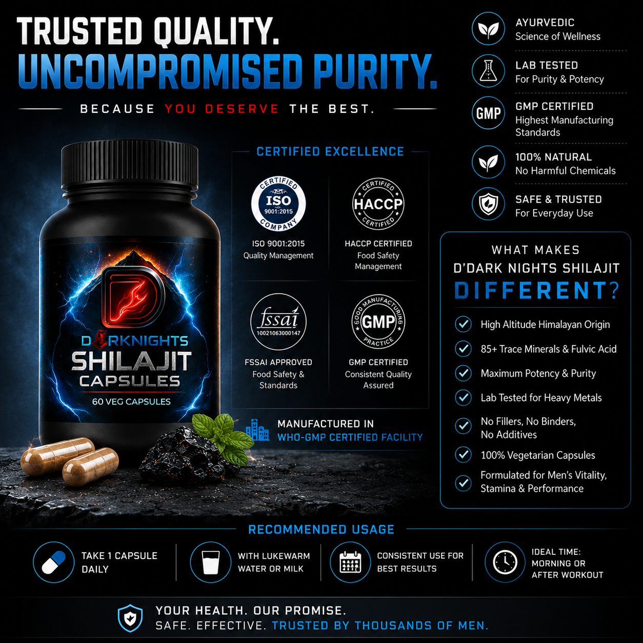 Pure Himalayan Shilajit Capsules | Natural Energy & Stamina Support | Ayurvedic Herbal Supplement