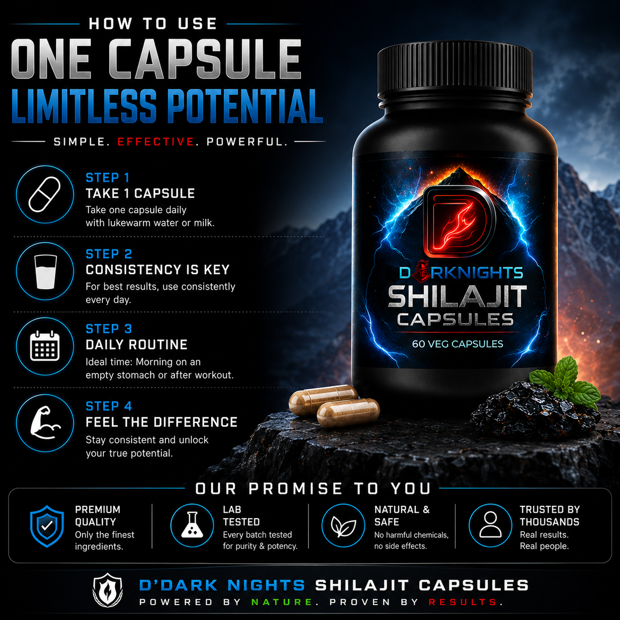 Pure Himalayan Shilajit Capsules | Natural Energy & Stamina Support | Ayurvedic Herbal Supplement